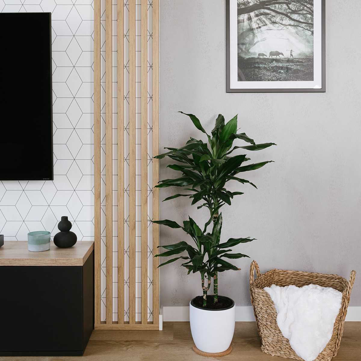 Acoustic wall panel - Sonoma oak 275cm